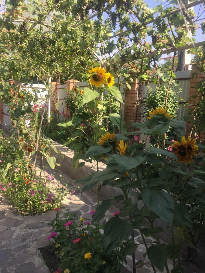 דירות Aspindza Oasis מראה חיצוני תמונה